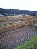 はんでえ