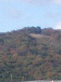 里見