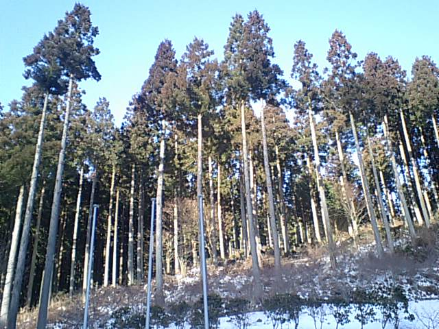 朝の