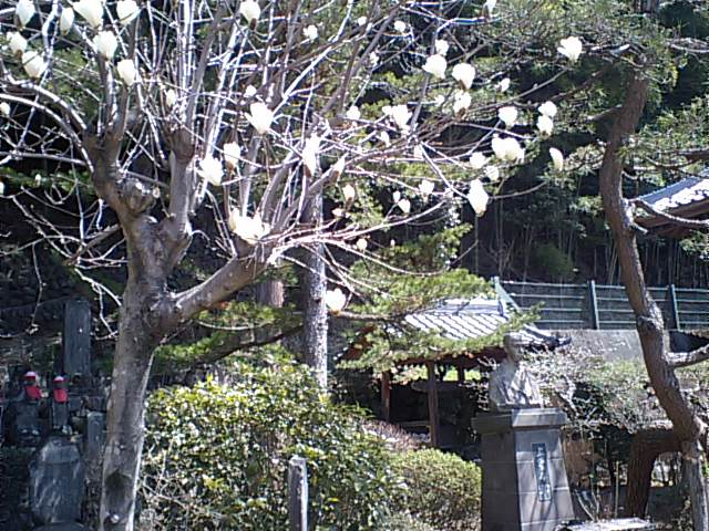 東全寺