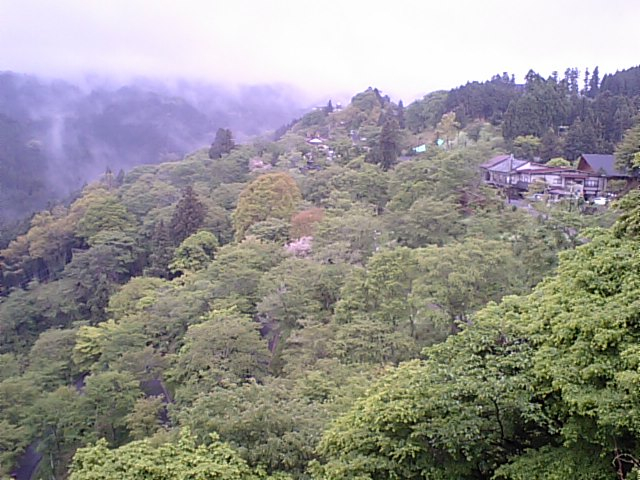 吉野