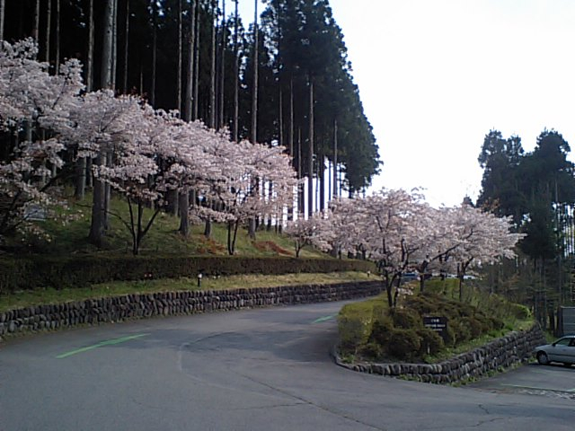 はまゆう山荘