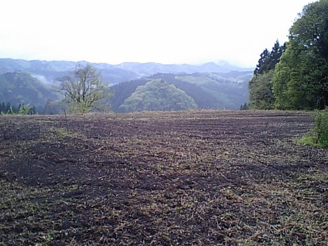 権田城跡