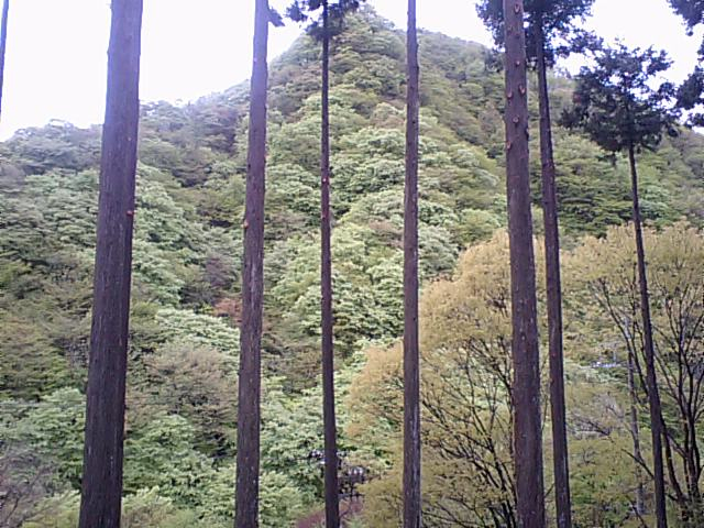 それぞれの