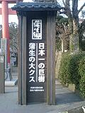 蒲生