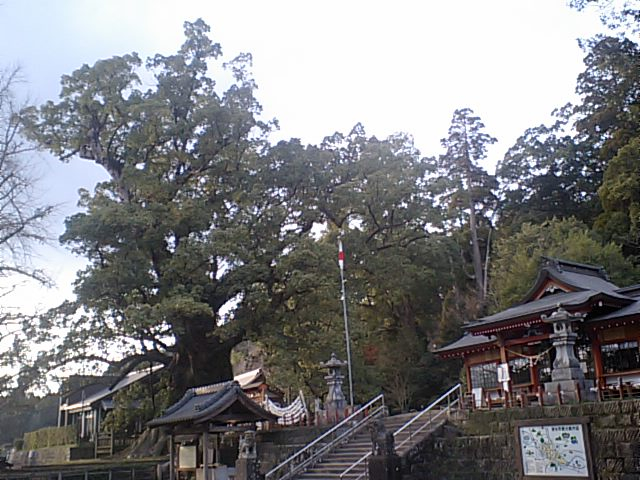 なんとか