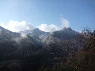 2010031901