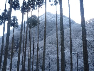 2010031902