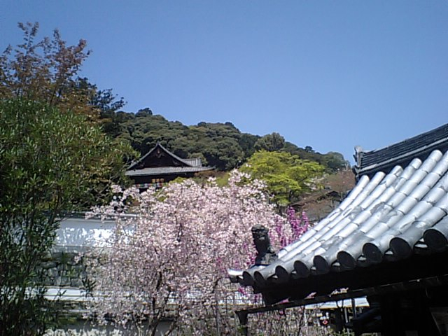 長谷寺