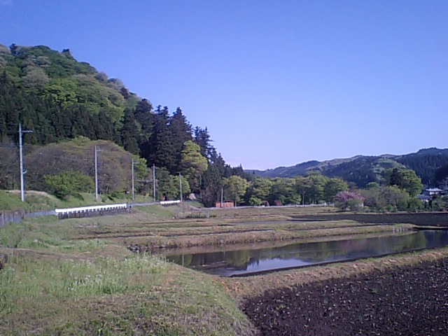 朝の風景