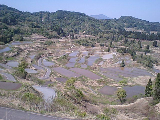 新潟