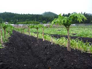 20100614