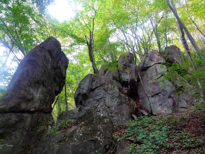 20101018