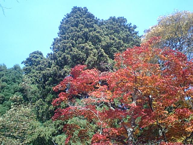 浅間神社