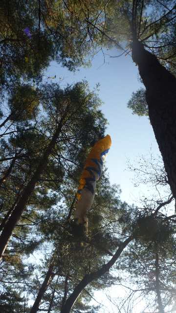 20101120