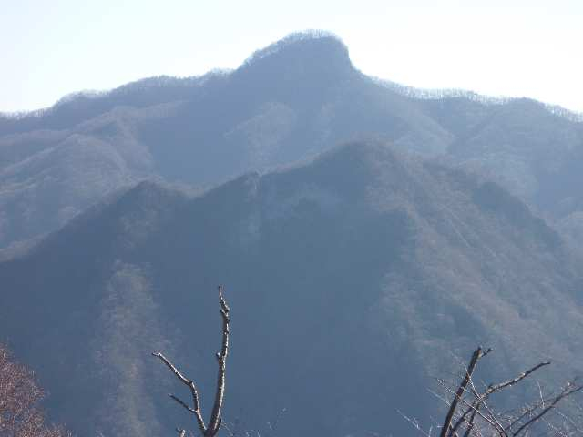 20101130