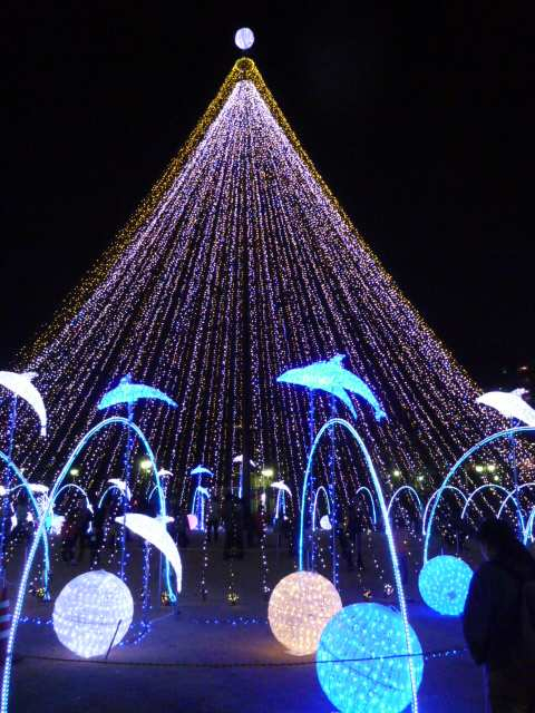 20101205