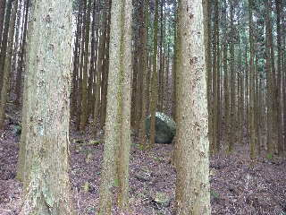 20110203