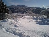 110215_08420001_2