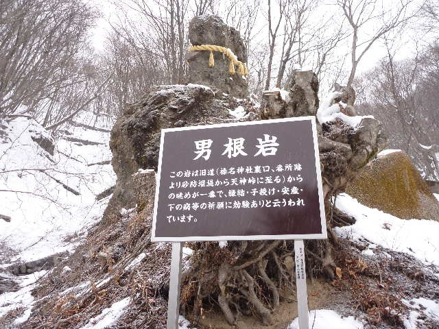 20110215