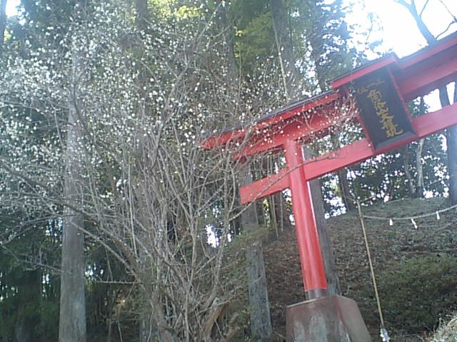 角落山
