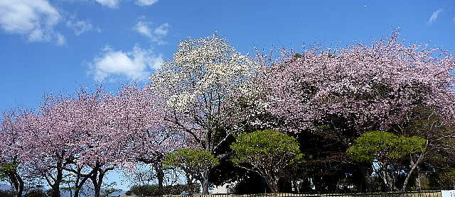 2011040402
