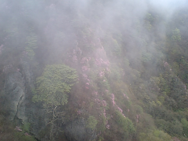 天狗岩から