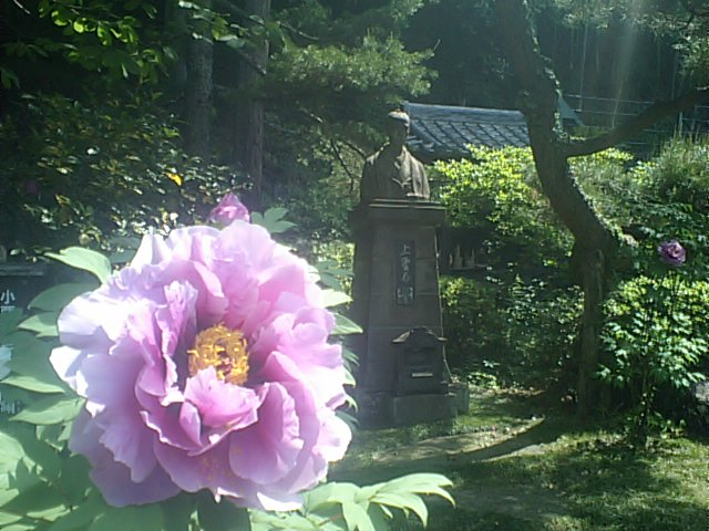 迎えるボタン