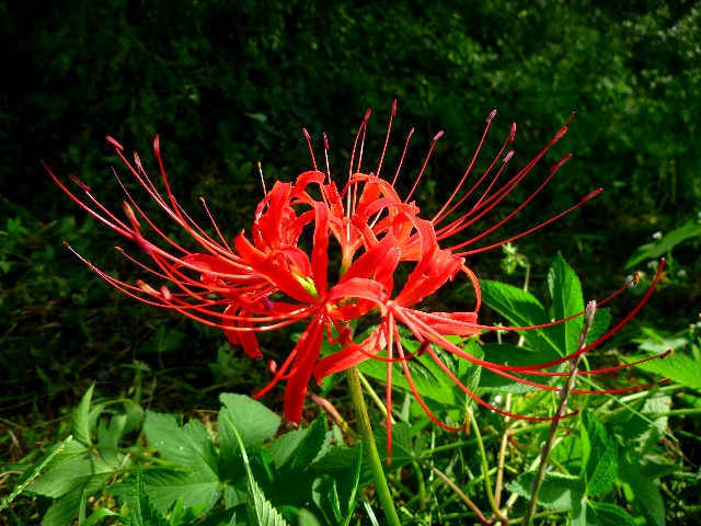 20110916