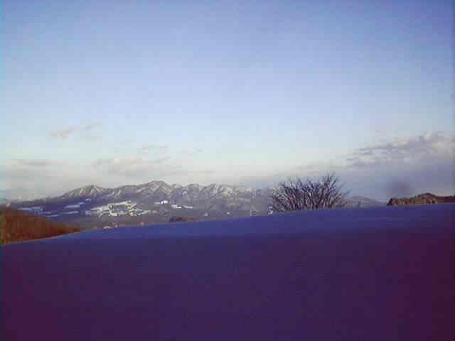 20130119warabilicam