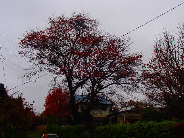 20151114004