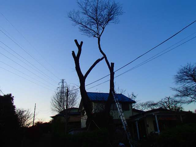20151201004