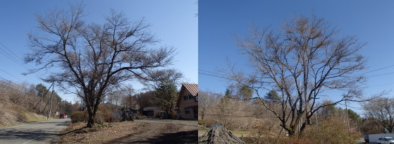 20160325001