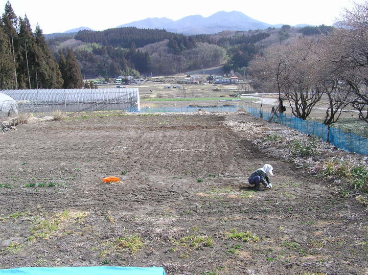 20160407002