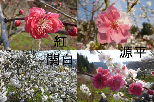 20160413001