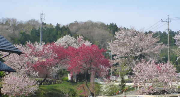 20160413003