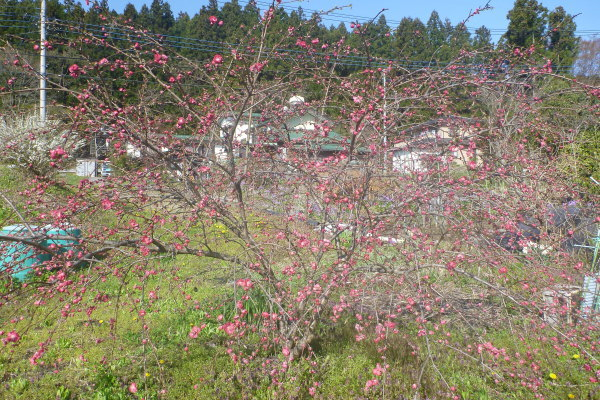 20160415003_2