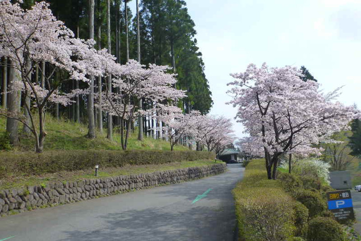 20160427001