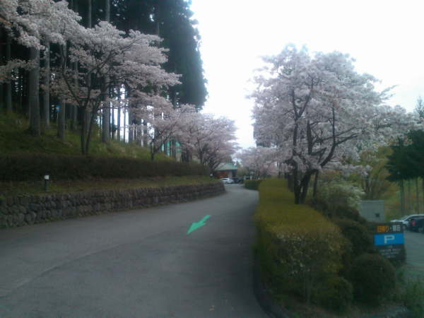 20160430004