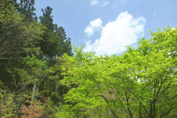 20160507002