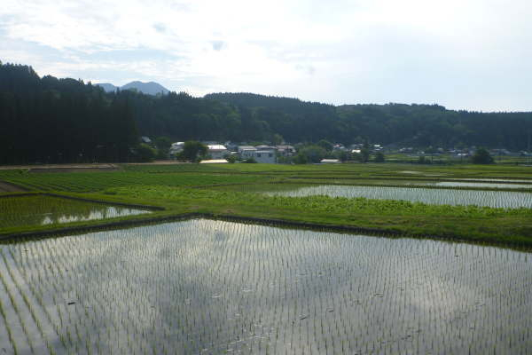 20160605002