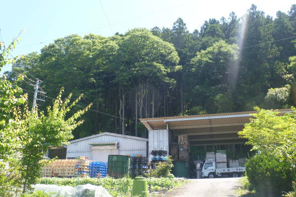 20160610003