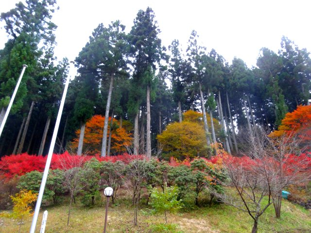 20161108003
