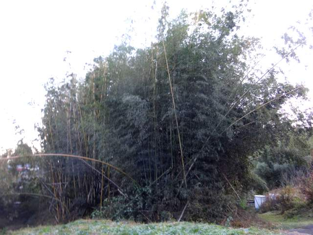 20161215003