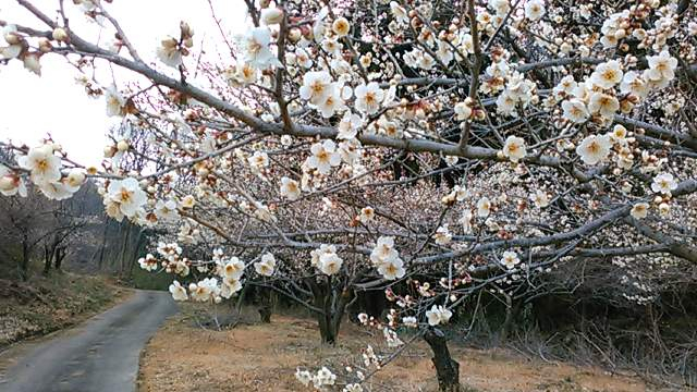 20170301002
