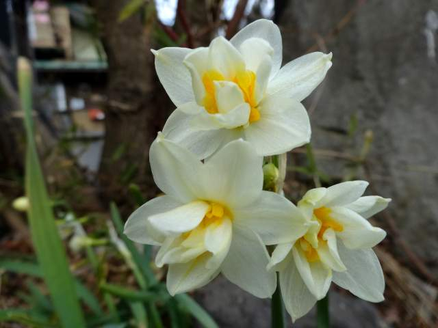 20170318001