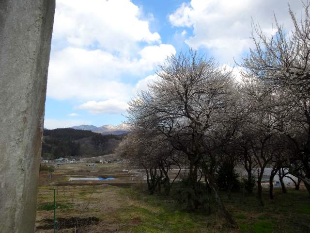 20170402001