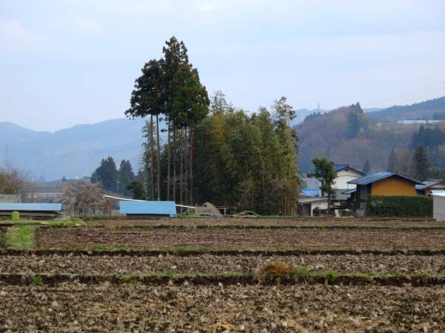 20170409006