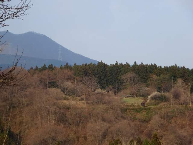 20170409007