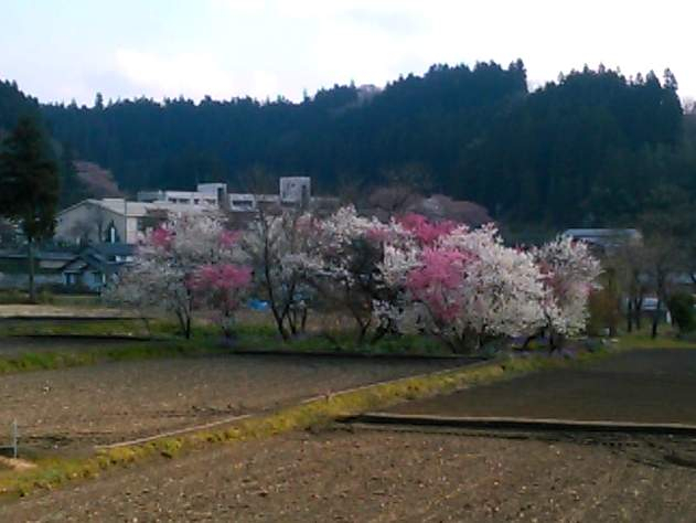20170425001